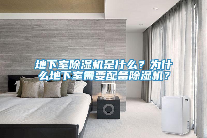 地下室小黄片直播视频是什么？为什么地下室需要配备小黄片直播视频？
