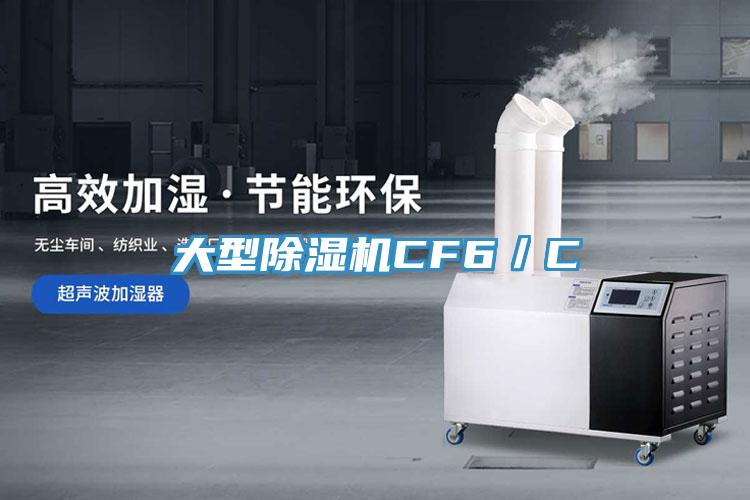 大型小黄片直播视频CF6／C