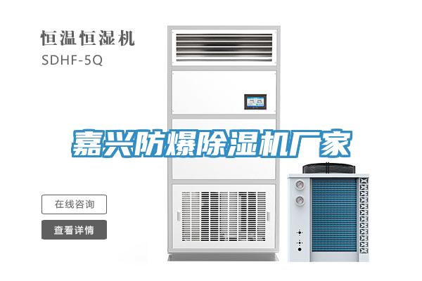嘉兴防爆小黄片直播视频厂家