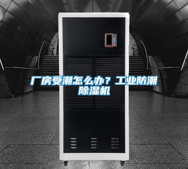 厂房受潮怎么办？工业防潮小黄片直播视频