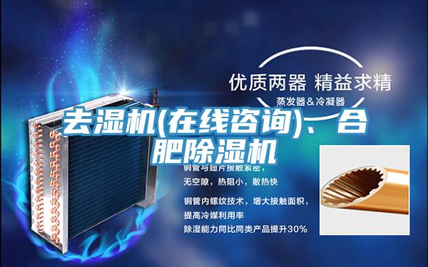 去湿机(在线咨询)、合肥小黄片直播视频