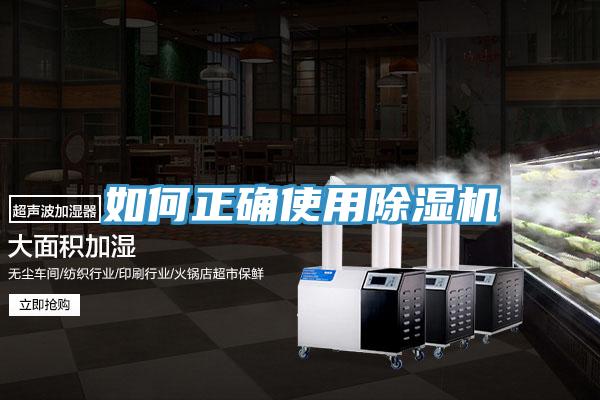 如何正确使用小黄片直播视频