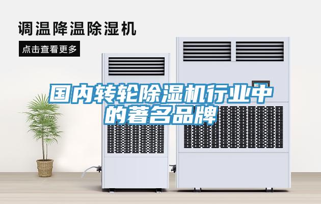 国内转轮小黄片直播视频行业中的著名品牌