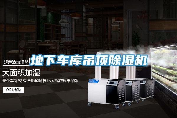 地下车库吊顶小黄片直播视频