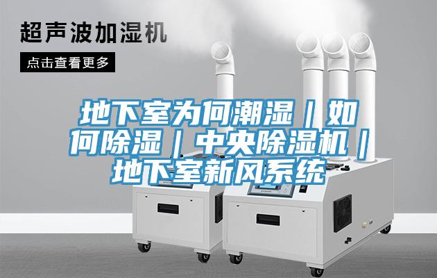 地下室为何潮湿｜如何除湿｜中央小黄片直播视频｜地下室新风系统