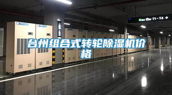 台州组合式转轮小黄片直播视频价格