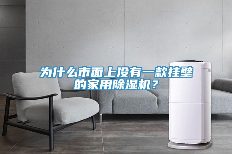 为什么市面上没有一款挂壁的家用小黄片直播视频？