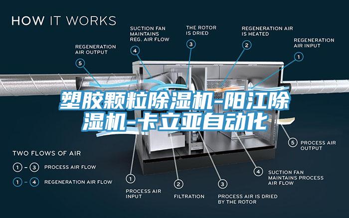 塑胶颗粒小黄片直播视频-阳江小黄片直播视频-卡立亚自动化