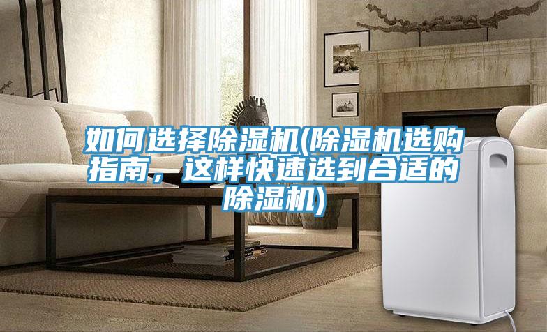 如何选择小黄片直播视频(小黄片直播视频选购指南，这样快速选到合适的小黄片直播视频)
