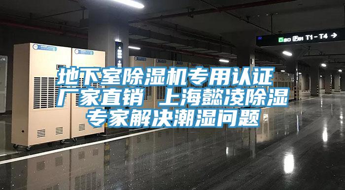 地下室小黄片直播视频专用认证 厂家直销 上海懿凌除湿专家解决潮湿问题