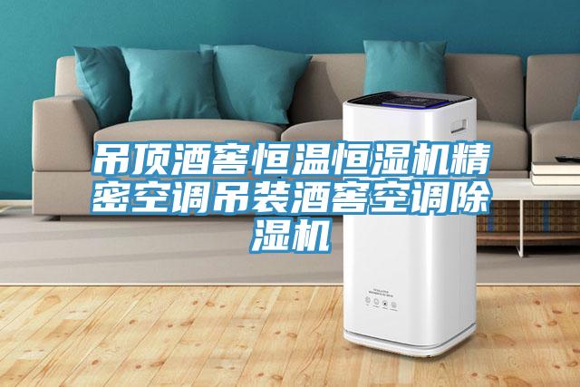 吊顶酒窖恒温恒湿机精密空调吊装酒窖空调小黄片直播视频