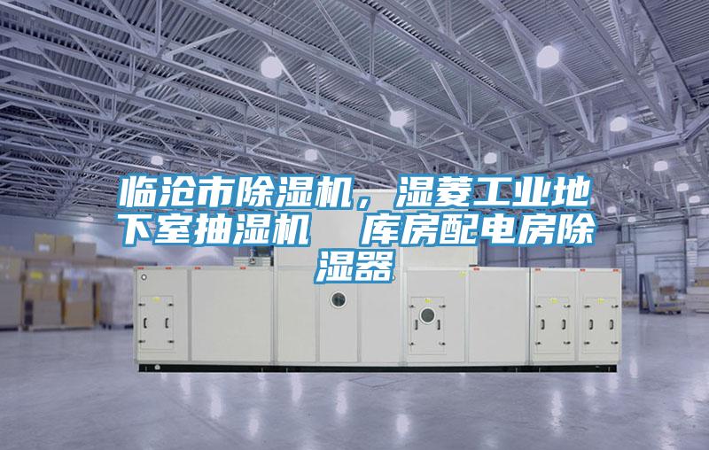 临沧市小黄片直播视频，湿菱工业地下室抽湿机  库房配电房除湿器