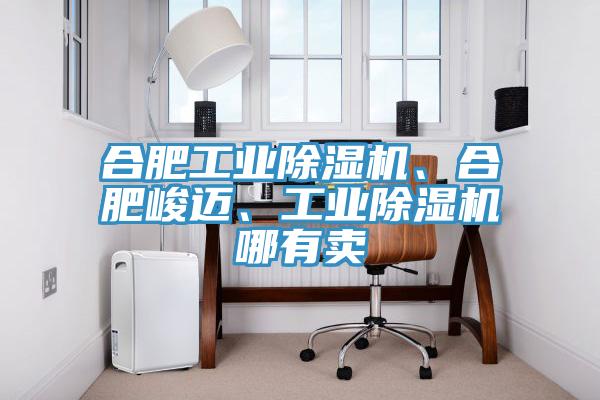 合肥工业小黄片直播视频、合肥峻迈、工业小黄片直播视频哪有卖
