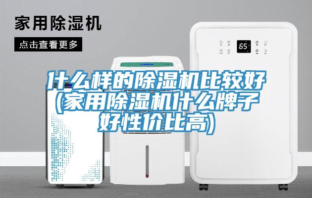 什么样的小黄片直播视频比较好(家用小黄片直播视频什么牌子好性价比高)