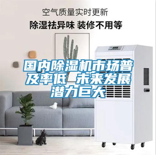 国内小黄片直播视频市场普及率低 未来发展潜力巨大