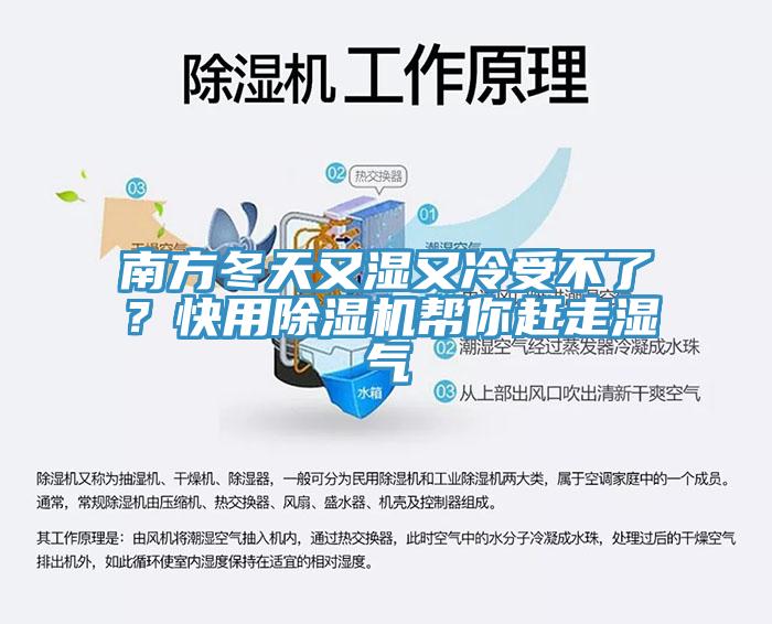 南方冬天又湿又冷受不了？快用小黄片直播视频帮你赶走湿气