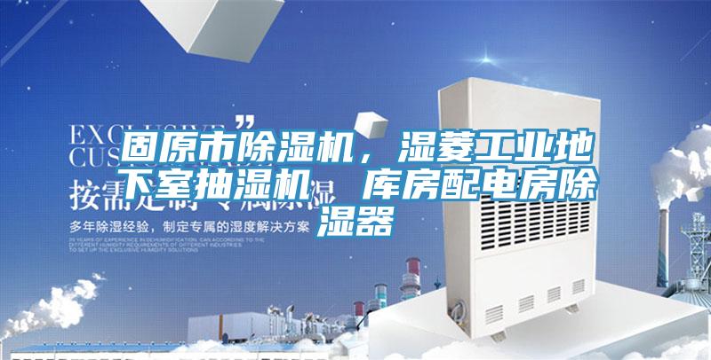 固原市小黄片直播视频，湿菱工业地下室抽湿机  库房配电房除湿器