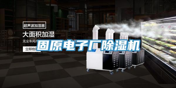 固原电子厂小黄片直播视频