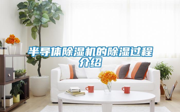 半导体小黄片直播视频的除湿过程介绍