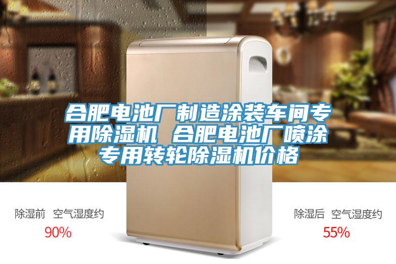 合肥电池厂制造涂装车间专用小黄片直播视频 合肥电池厂喷涂专用转轮小黄片直播视频价格
