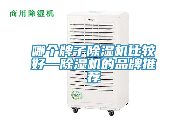 哪个牌子小黄片直播视频比较好—小黄片直播视频的品牌推荐