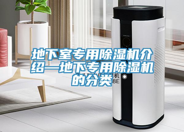 地下室专用小黄片直播视频介绍—地下专用小黄片直播视频的分类