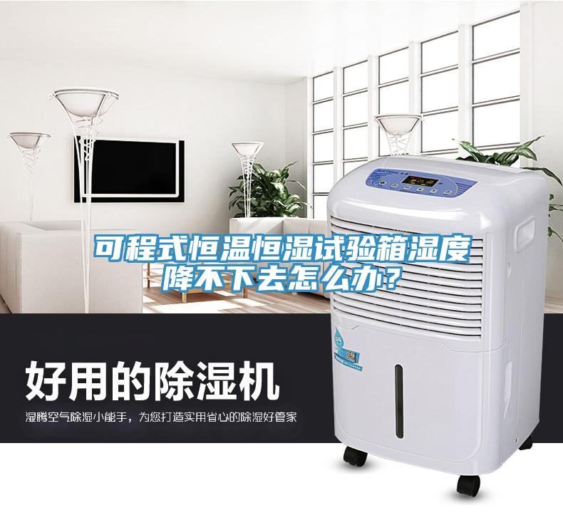 可程式恒温恒湿试验箱湿度降不下去怎么办？