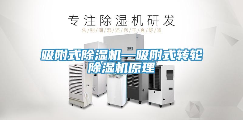吸附式小黄片直播视频—吸附式转轮小黄片直播视频原理
