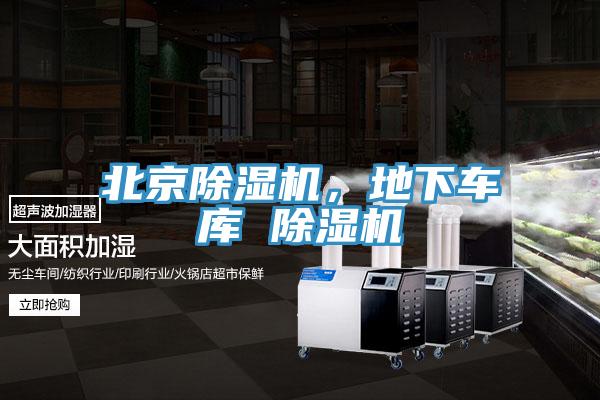 北京小黄片直播视频，地下车库 小黄片直播视频