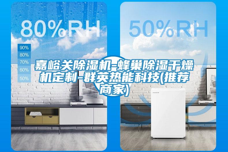 嘉峪关小黄片直播视频-蜂巢除湿干燥机定制-群英热能科技(推荐商家)
