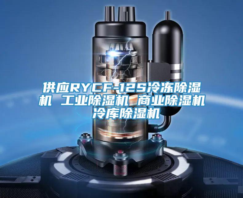 供应RYCF-12S冷冻小黄片直播视频 工业小黄片直播视频 商业小黄片直播视频 冷库小黄片直播视频