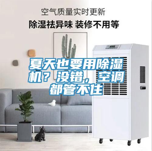 夏天也要用小黄片直播视频？没错，空调都管不住