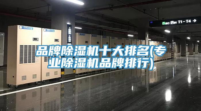 品牌小黄片直播视频十大排名(专业小黄片直播视频品牌排行)
