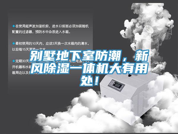 别墅地下室防潮，新风除湿一体机大有用处！