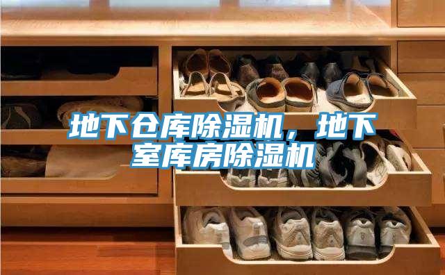 地下仓库小黄片直播视频，地下室库房小黄片直播视频