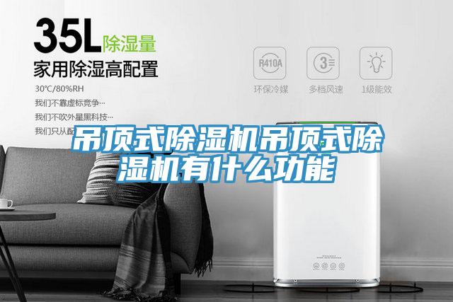 吊顶式小黄片直播视频吊顶式小黄片直播视频有什么功能