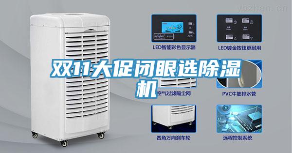 双11大促闭眼选小黄片直播视频