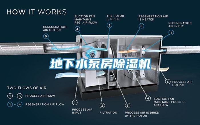 地下水泵房小黄片直播视频