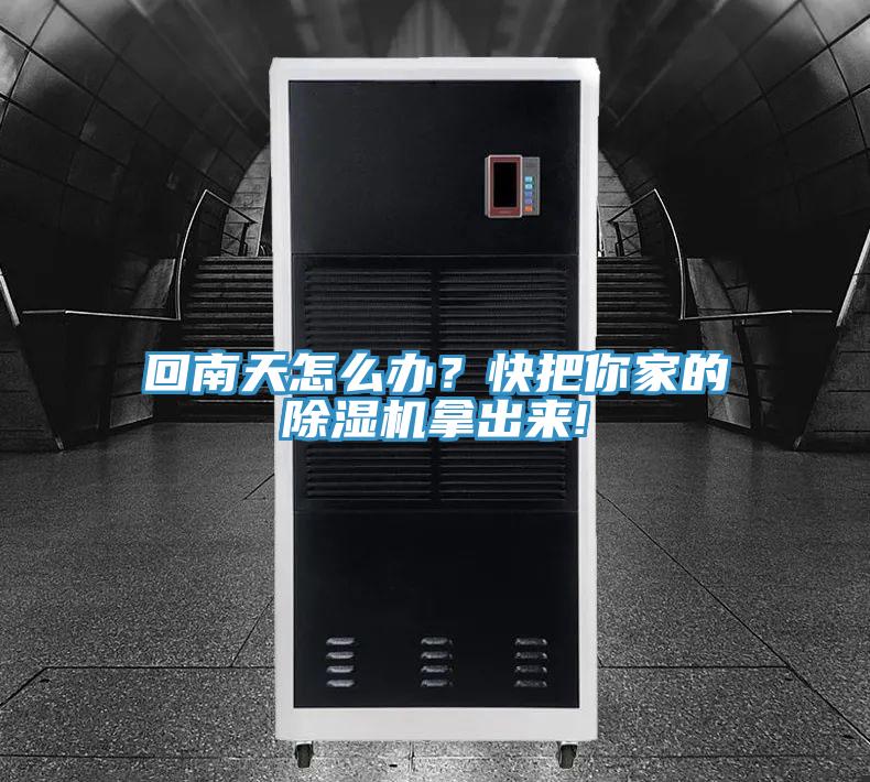回南天怎么办？快把你家的小黄片直播视频拿出来!