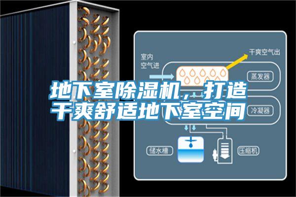 地下室小黄片直播视频，打造干爽舒适地下室空间