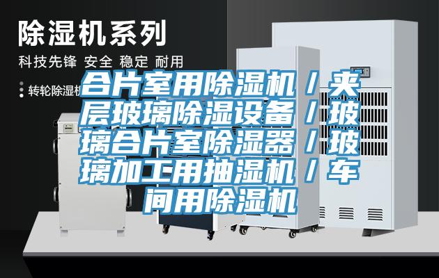 合片室用小黄片直播视频／夹层玻璃除湿设备／玻璃合片室除湿器／玻璃加工用抽湿机／车间用小黄片直播视频