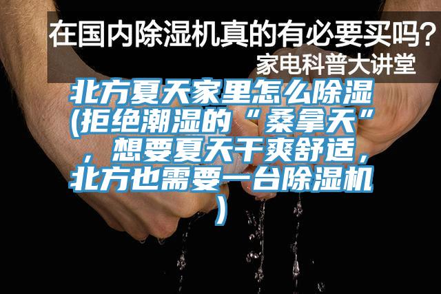 北方夏天家里怎么除湿(拒绝潮湿的“桑拿天”，想要夏天干爽舒适，北方也需要一台小黄片直播视频)