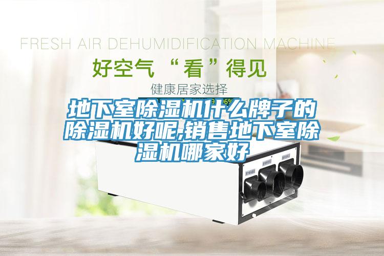 地下室小黄片直播视频什么牌子的小黄片直播视频好呢,销售地下室小黄片直播视频哪家好