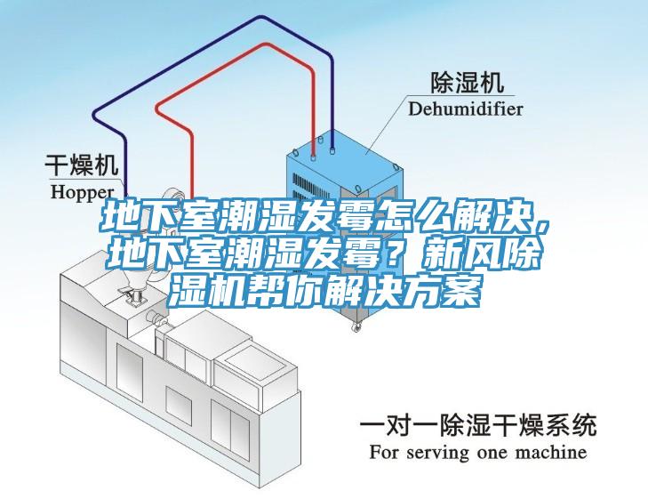 地下室潮湿发霉怎么解决，地下室潮湿发霉？新风小黄片直播视频帮你解决方案