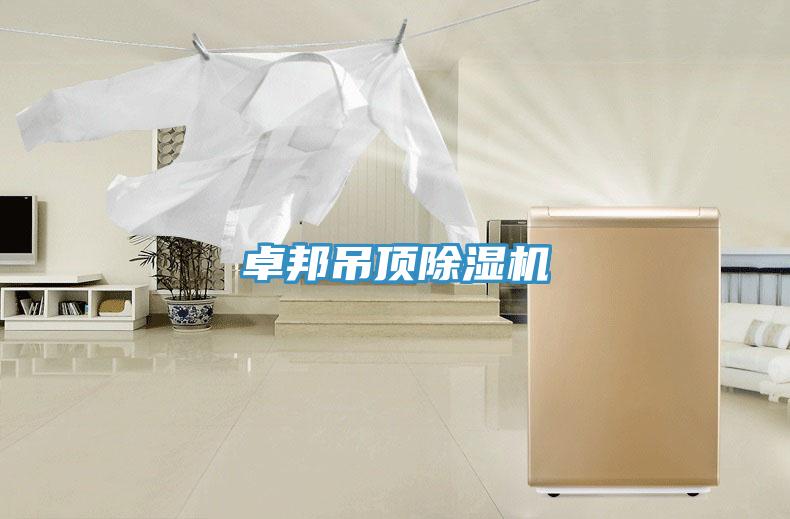 卓邦吊顶小黄片直播视频
