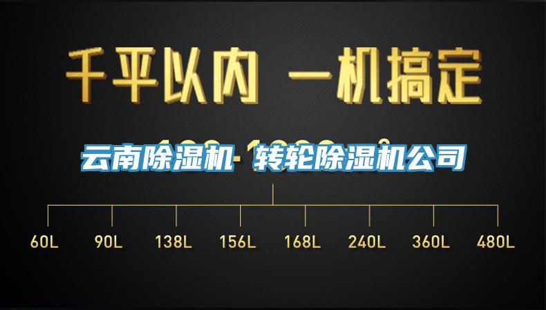 云南小黄片直播视频 转轮小黄片直播视频公司