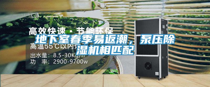 地下室春季易返潮，泵压小黄片直播视频相匹配