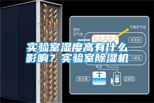 实验室湿度高有什么影响？实验室小黄片直播视频