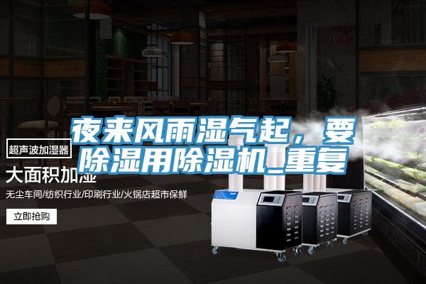 夜来风雨湿气起，要除湿用小黄片直播视频_重复