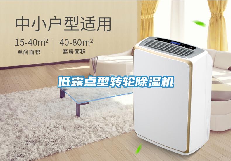 低露点型转轮小黄片直播视频